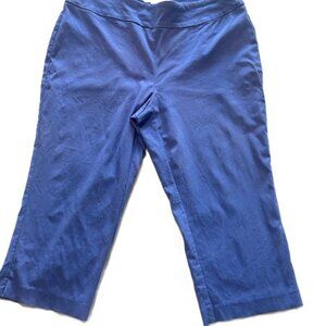 Dana Buchman Ladies Pants Medium Bright Blue Capri Pull On Straight Leg